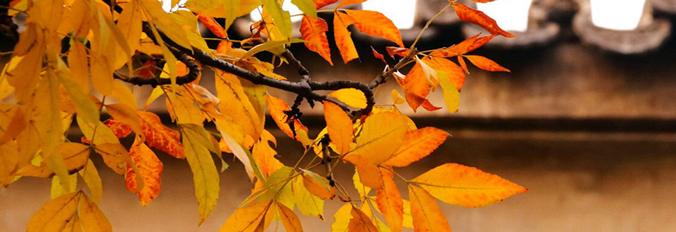 威廉希尔williamhill官方网站